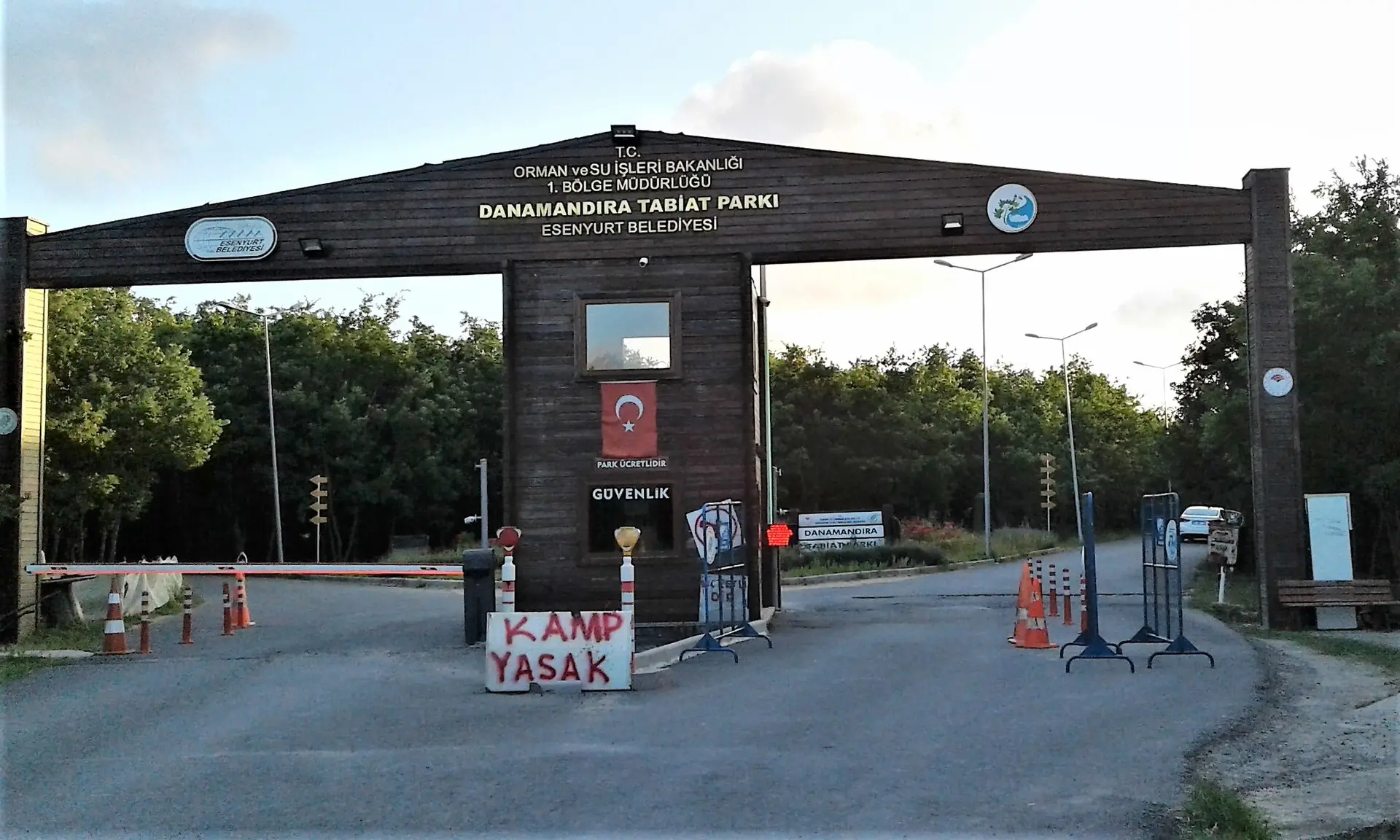 Danamandıra ormanında ağaçlar arasındaki açıklık